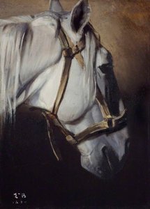Head Of A White Horse — Léon Joseph Florentin Bonnat
