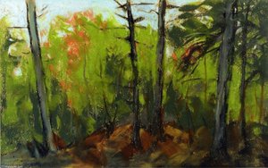 Woodland Scene, Monhegan, Maine — Robert Henri