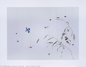 Speak, Memory Of Dog — Hong Lei (diplomat)