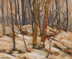 Winter Sunset, Algonquin Park — Thomas Thompson