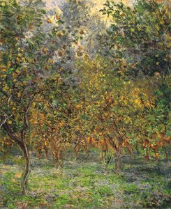 Under The Lemon Trees — Claude Monet