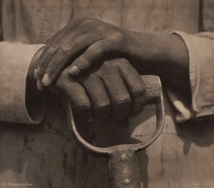 Worker's Hands — Tina Modotti