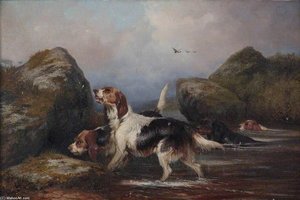 Dogs — Colin Graeme Roe