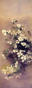 Madrone, Dogwood and Elderberry (II)