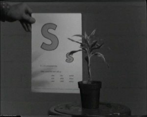 Teaching A Plant The Alphabet — John Baldessari