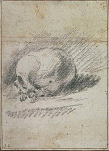 A Skull — Sebastiano Ricci