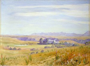 View Of Cadle's Hotel And The Kloof Beyond Near Grahamstown — Marianne North