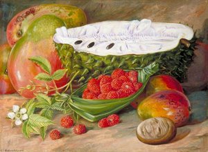 Fruit Grown In The Seychelles — Marianne North, Naturalism At Its Finest