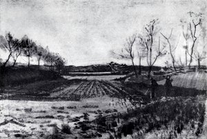 Potato Field Behind The Dunes — Vincent Willem Van Gogh, Post-impressionism