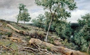 On The Gretna Looking Down The River — Keeley Halswelle