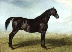 Guy Mannering. A Race Horse — James Ward