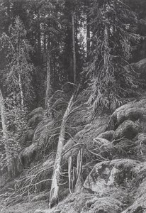 Taiga — Ivan Ivanovich Shishkin