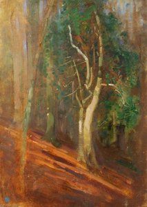 Trees In A Wood — Benjamin Haughton