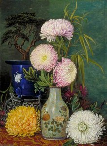 Study Of Japanese Chrysanthemums And Dwarfed Pine — Marianne North