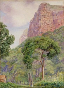Undercliff And Its Two Fairies With Raintree, St John's — Marianne North, Victorian Naturalism