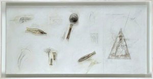 Portrait Of A Polymath – D'arcy Thompson's Daybook — Will Maclean