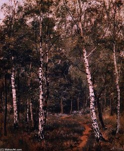 Silver Birches