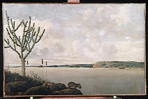 Le Rio San Francisco Et Le Fort Maurice, Au Bresil — Frans Post, Realism