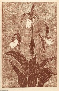 Ladyslippers — Frank Mcclure