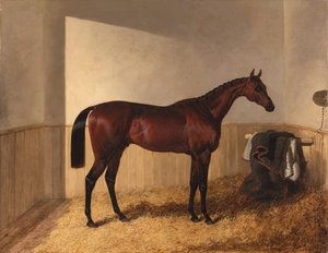 Merry Monarch In A Stable — John Frederick Herring Senior