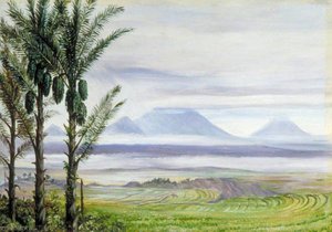 Volcanoes From Temangong With Sugar Palms In The Foreground, Java — Marianne North