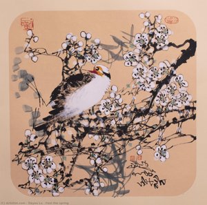 Feel The Spring — Dayou Lu