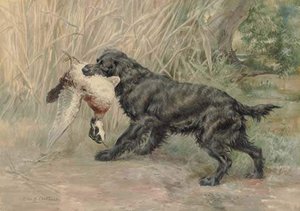 A Spaniel With A Mallard — Edmund Henry Osthaus