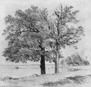 Oaks In Sestroretsk — Ivan Ivanovich Shishkin, Realism