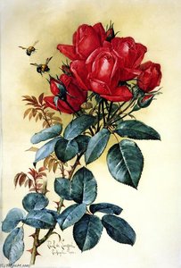Papa Gontier Roses — Raoul De Longpre