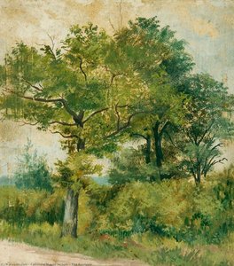 The Roadside — Catherine Maude Nichols
