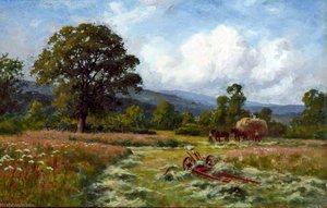 Hay Meadow