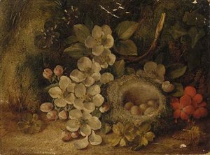 Apple Blossom And A Bird's Nest -