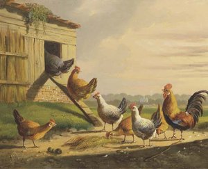 Going Into The Henhouse - A Good Night's Rest — Albertus Verhoesen, Realism