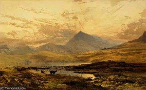 Cattle grazing in a moorland landscape thought to be rannoch moor