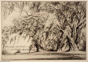Oaks And Moss — Kerr Eby
