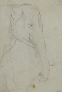 Head And Front Legs Of An Elephant — John Frederick Lewis
