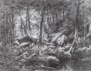 Slums (view On The Island Of Valaam) — Ivan Ivanovich Shishkin, Realism