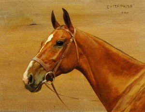 A Chestnut Thoroughbred Called 'enterprise' — Florence Mabel Hollams