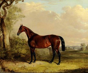 A Bay Hunter In A Landscape — Thomas Walker Bretland