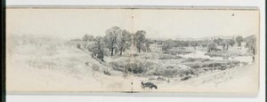 Trees On The Bank Of The Charles River June 22 , 1886 — William Trost Richards
