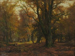 New Forest — Frederick Golden Short