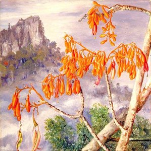 Limestone Mountains Of Sarawak, Borneo — Marianne North