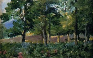 Beech — Ignacio Díaz Olano