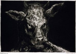 Untitled — Andre Racz