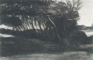 Landscape With Windblown Trees — Vincent Willem Van Gogh