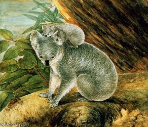 Koala And Young, — John William Lewin