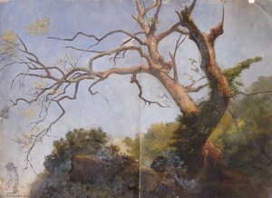 Study Of A Tree — Thomas Stuart Smith