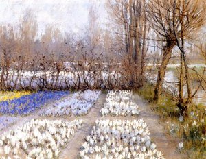 Spring Crosuc Fields — George Hitchcock