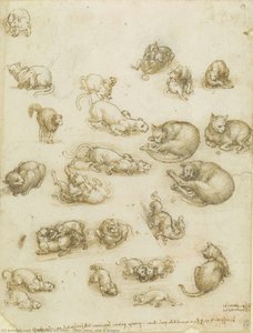 Cats, Lions, And A Dragon — Leonardo Da Vinci