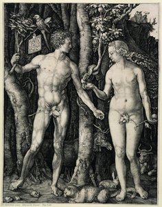 The Fall — Albrecht Dürer